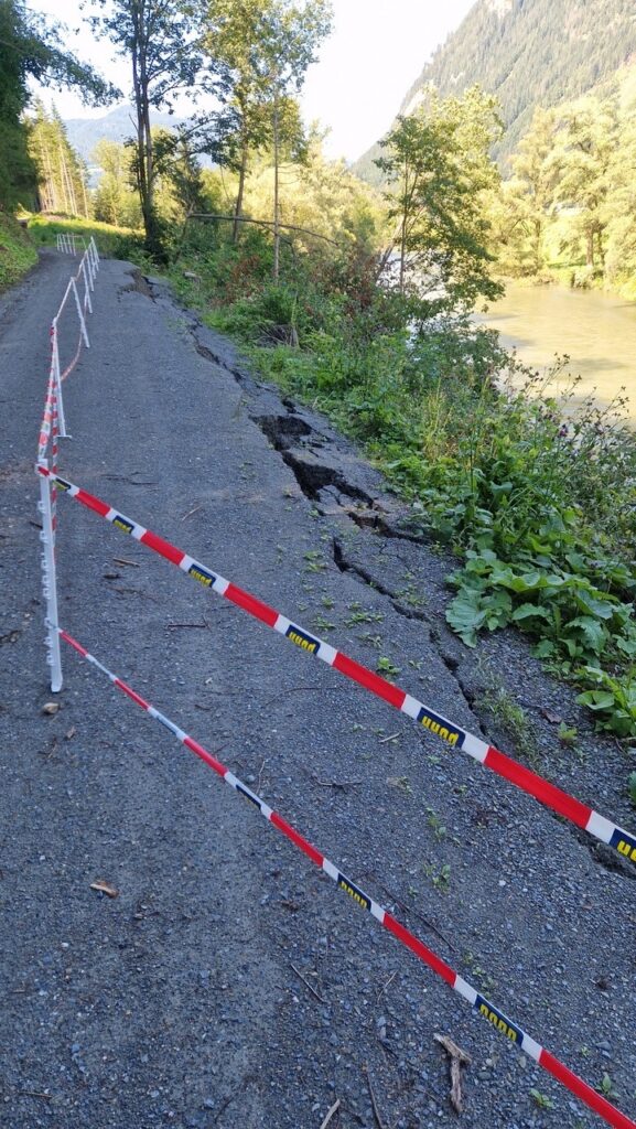 Ein Bild, das draußen, Baum, Pflanze, Gelände enthält. Automatisch generierte Beschreibung