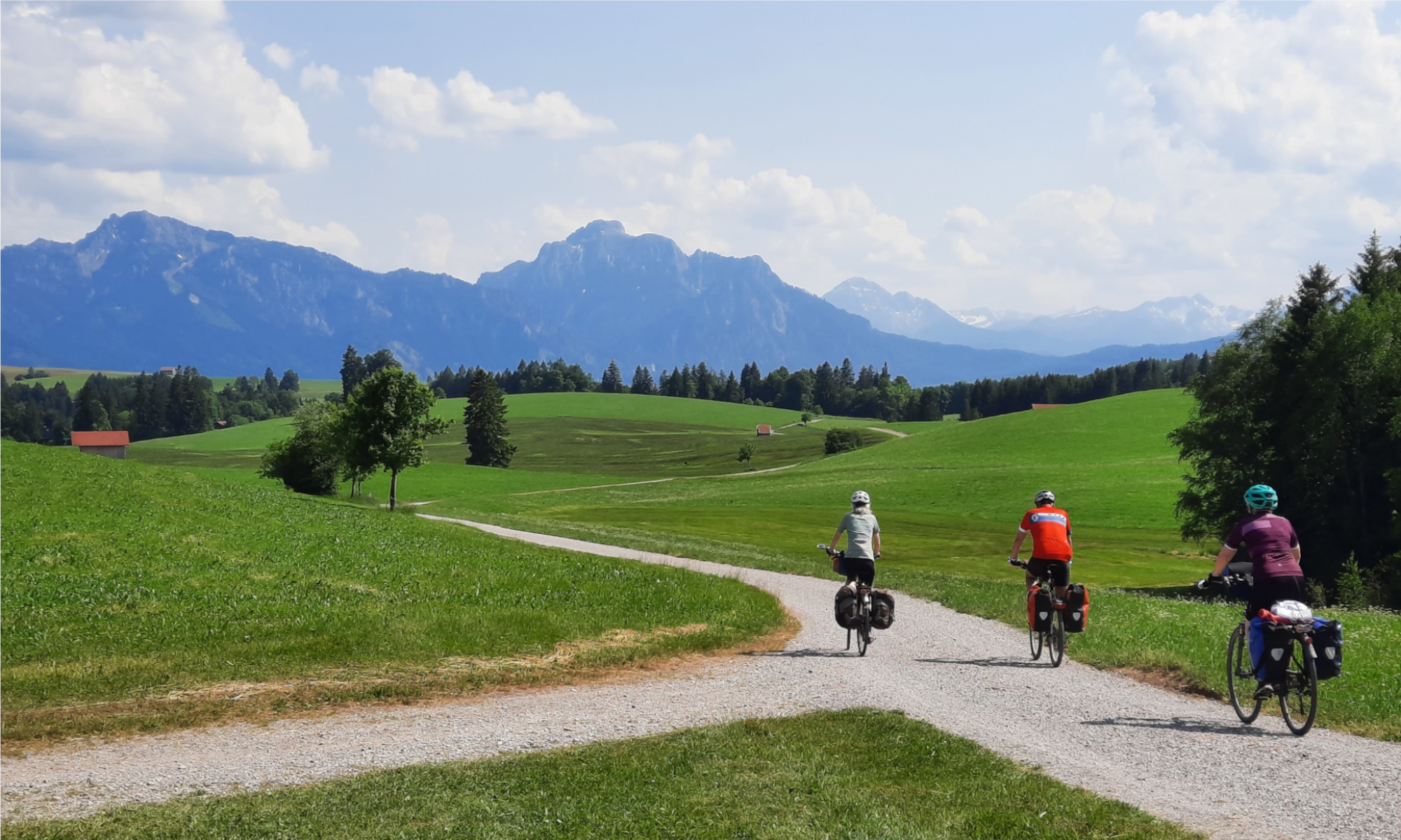 Auf dem Elberadweg: von Hamburg nach Stade, Mein-Fahrradhändler